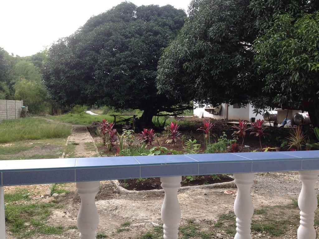 Mangoes Place Moalboal Bagian luar foto